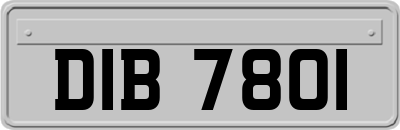 DIB7801