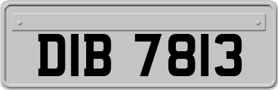 DIB7813