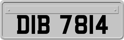 DIB7814