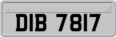DIB7817