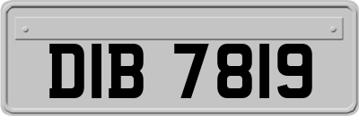 DIB7819