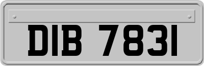 DIB7831