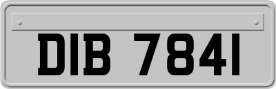 DIB7841