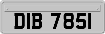 DIB7851