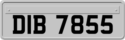 DIB7855