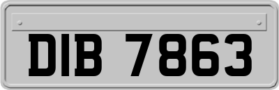 DIB7863
