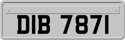 DIB7871