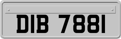 DIB7881