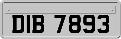 DIB7893