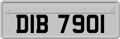 DIB7901