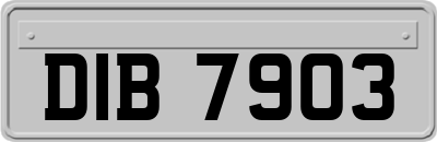 DIB7903