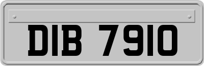 DIB7910