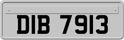 DIB7913