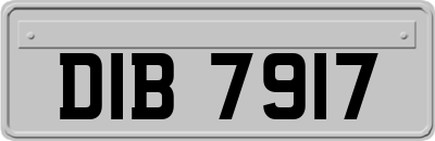 DIB7917