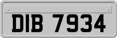 DIB7934