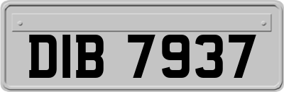 DIB7937