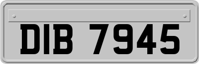 DIB7945