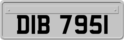DIB7951