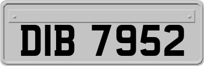 DIB7952