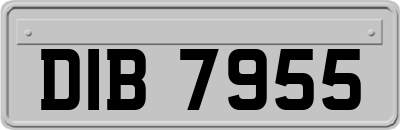 DIB7955