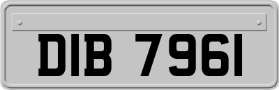DIB7961