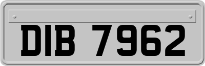 DIB7962
