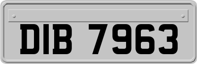 DIB7963