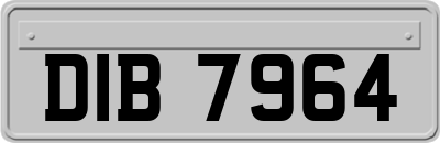 DIB7964