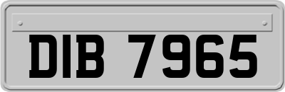 DIB7965