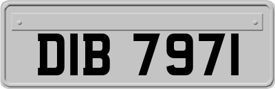 DIB7971