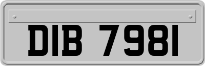 DIB7981
