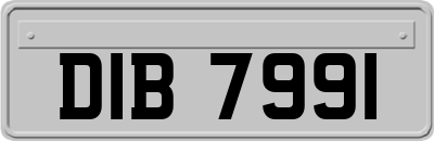 DIB7991