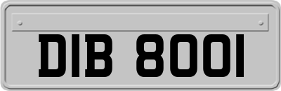 DIB8001