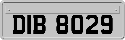 DIB8029