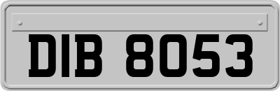 DIB8053