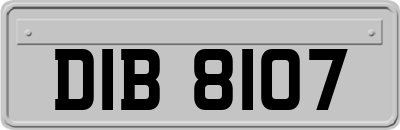DIB8107