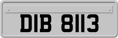 DIB8113