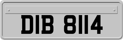 DIB8114