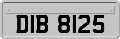 DIB8125