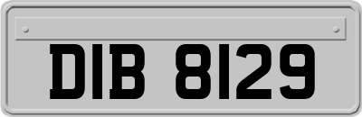 DIB8129