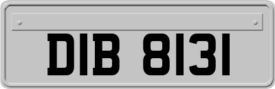 DIB8131