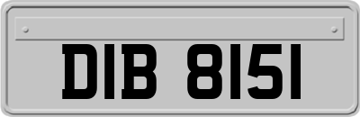 DIB8151
