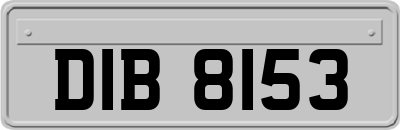 DIB8153