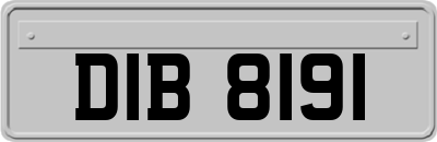 DIB8191