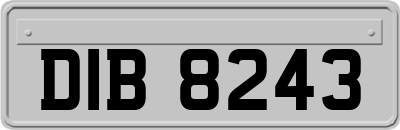 DIB8243