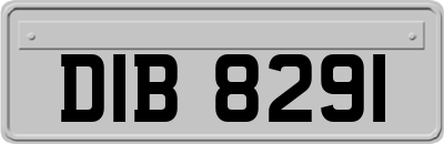 DIB8291