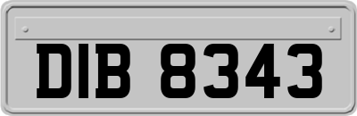 DIB8343