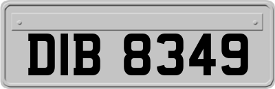 DIB8349
