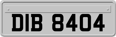 DIB8404