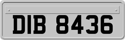 DIB8436